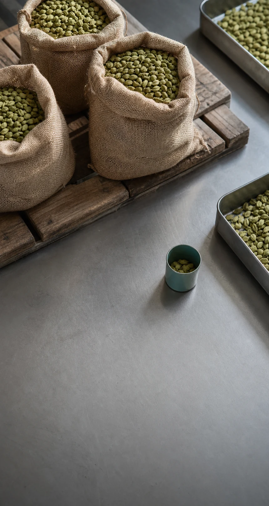 Green cardamom samples arranged for an enquiry brief.